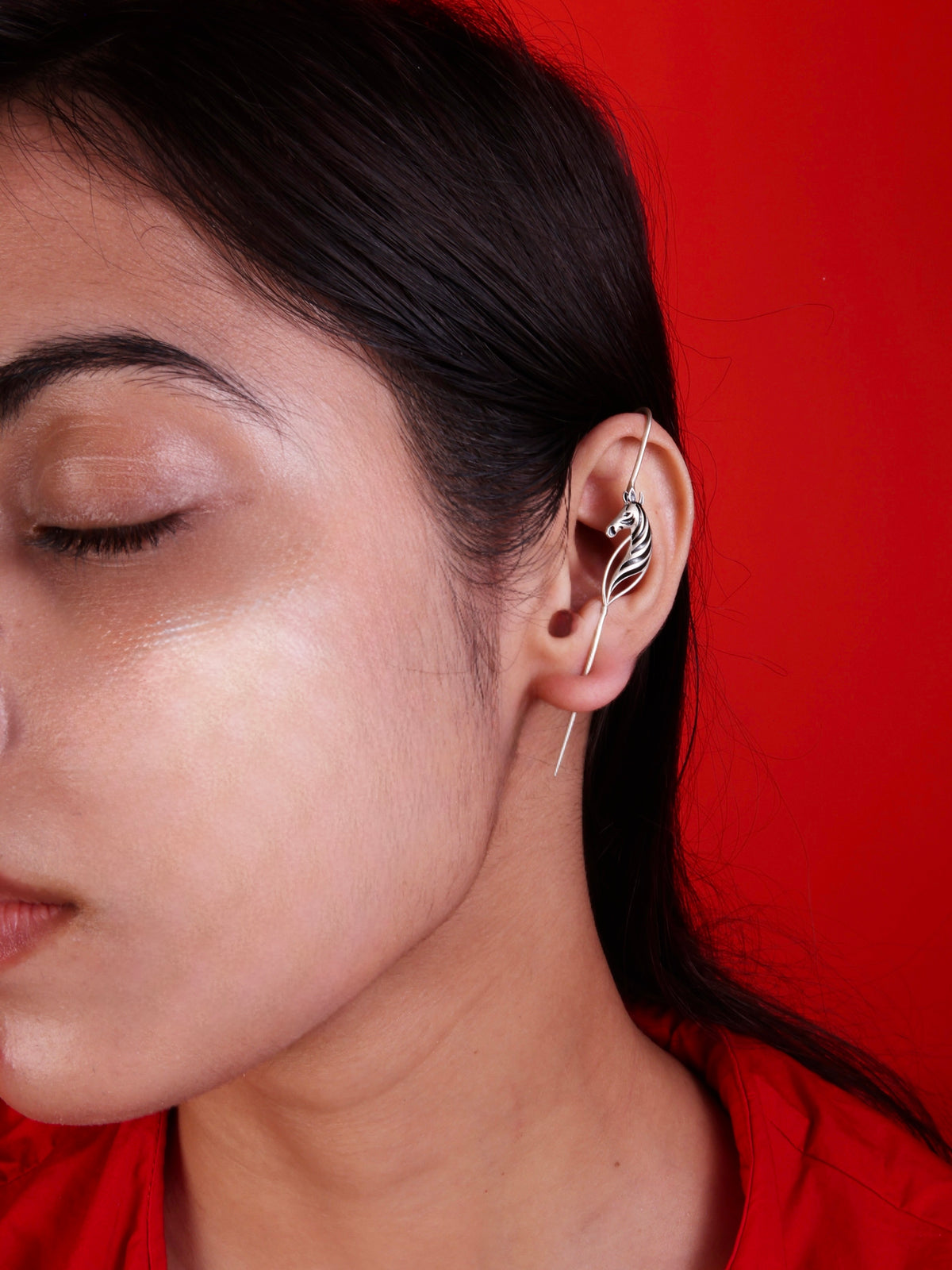 Zebra Duet Ear Pins