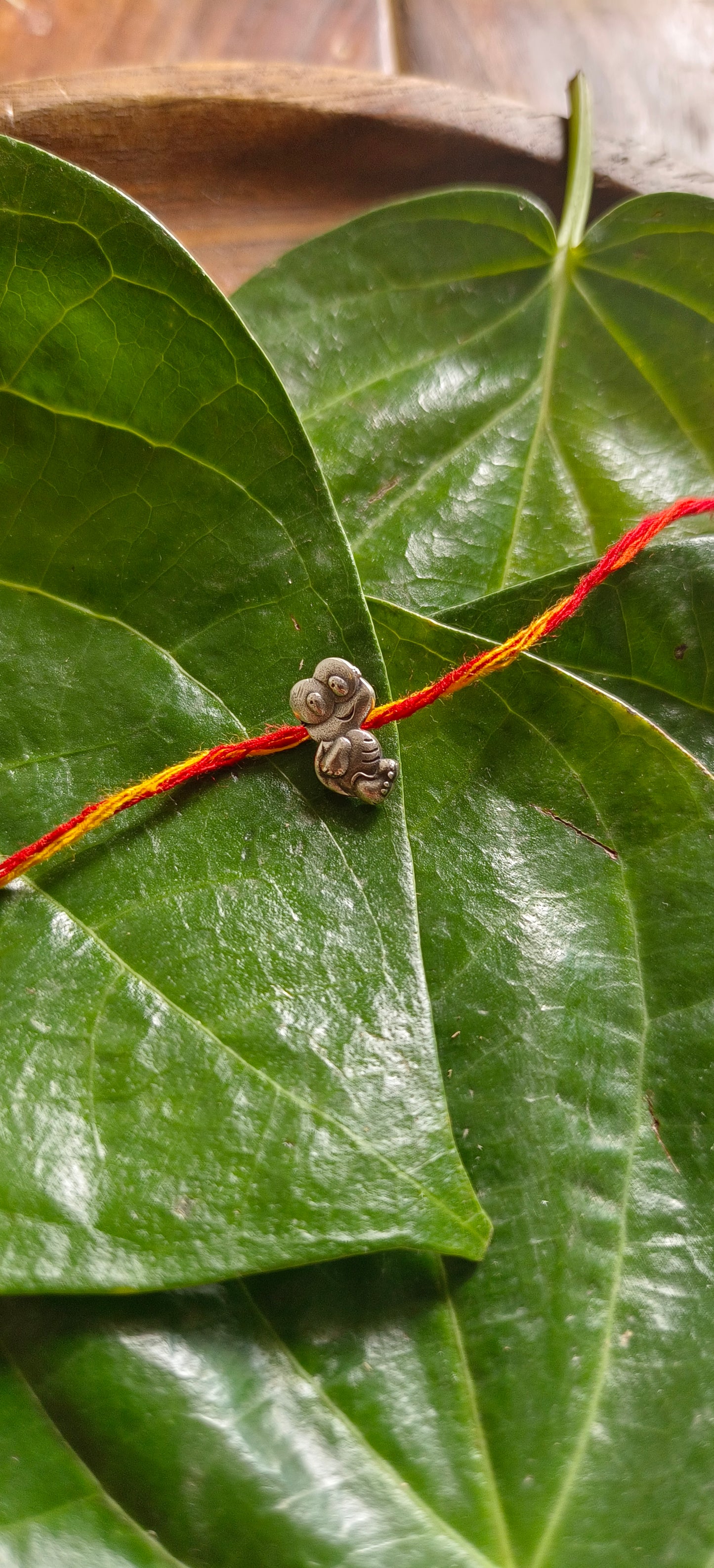 Turtle Rakhi for Kids