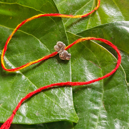 Turtle Rakhi for Kids