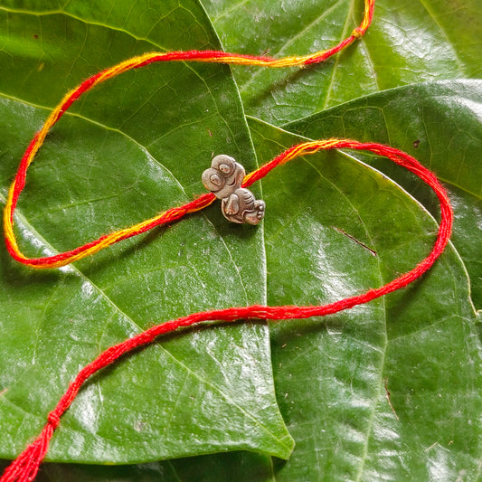 Turtle Rakhi for Kids